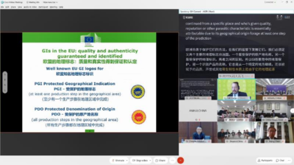 訊飛聽見同傳 無障礙溝通的新維度，行業風潮的引領者